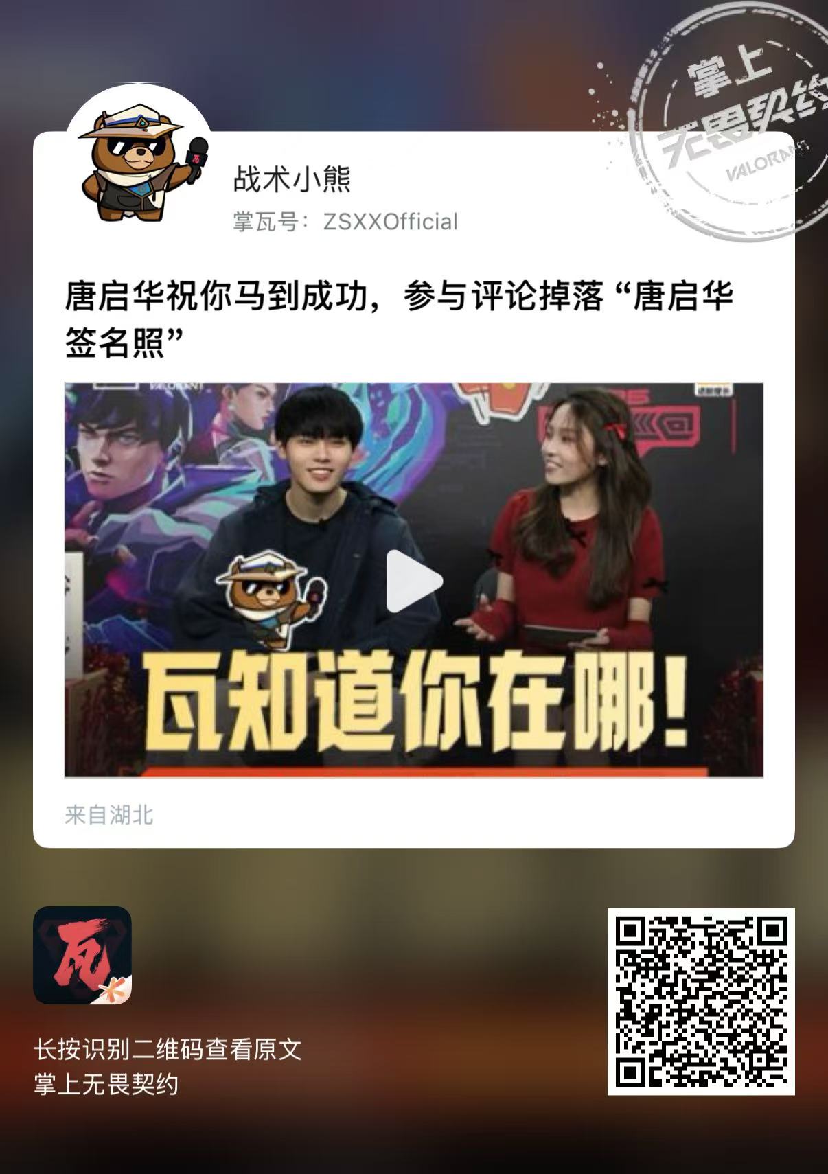 掌上无畏契约战术小熊采访代表作品与二维码