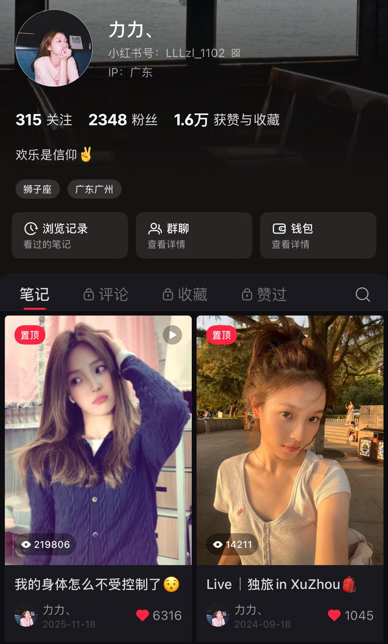 小红书账号与代表内容页面
